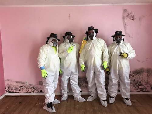 Mold Control Panama